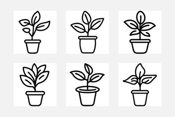 plants in pots vector illustration