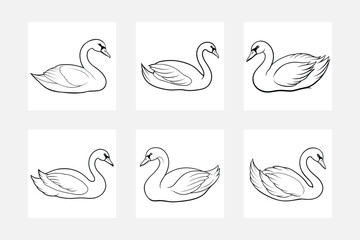 set of swans vector illustration © Chaya
