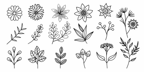 Beautiful floral element collection with various botanical and leaf designs