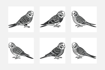 set of birds vector illustration