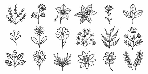 Beautiful floral element collection with various botanical and leaf designs