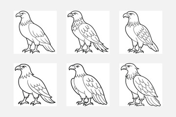 Coloring page outline of cute eagle set black and white animals