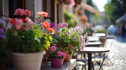 Street cafe decorated with pots of beautiful flowers and herbs