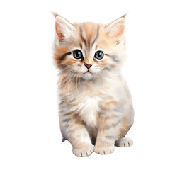 Obraz premium Cute fluffy kitten with big blue eyes, sitting and looking at the camera. Perfect for pet-related projects.