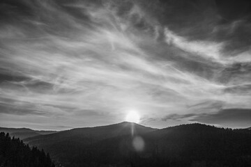 Landscapes - Forest - Europe, Romania, Suceava region