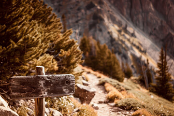 Fototapeta premium Rustic Wooden Sign on Mountain Hiking Trail Surrounded by Pine Trees in Autumn