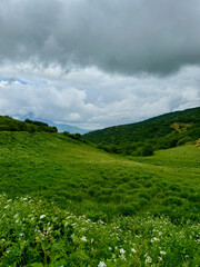Obraz premium View of the green lush grassy hills of the Caucasus mountains near Vladikavkaz, Russia