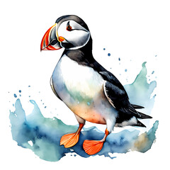 Naklejka premium Colorful watercolor illustration of an Atlantic puffin with vibrant and artistic details, perfect for nature and wildlife themes. Isolated on PNGs transparent background.