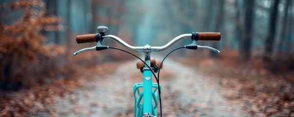 Ride in Style A Fresh and Fashionable Cycling Experience with a Stylish Blue Bicycle on a Misty Forest Path
