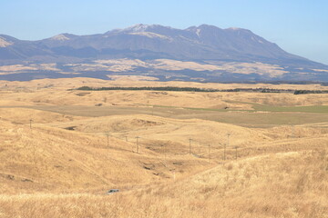 冬の阿蘇の草原