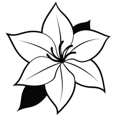 Flower silhouette with white background