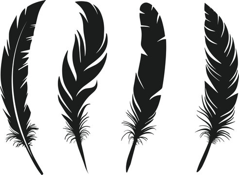Set of feather vector illustration.