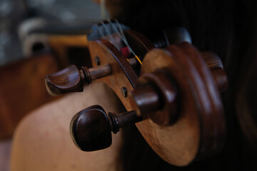 Dettaglio di violino. Musica 