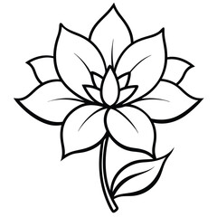 Flower silhouette with white background