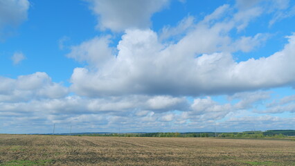 Obraz premium Agricultural field with harvested wheat and straw. Details of a stubble field after harvesting wheat and straw. Timelapse.