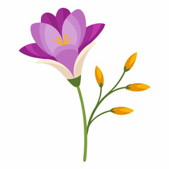 Fototapeta premium A branch of a freesia flower vector illustration 
