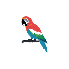 red and yellow macaw ara ararauna © creative idea 