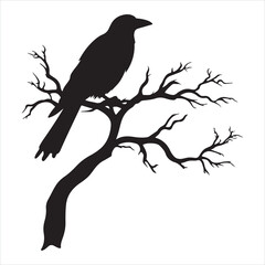Ominous raven sitting on a bare tree branch silhouette white background
