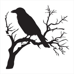 Ominous raven sitting on a bare tree branch silhouette white background
