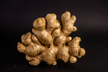 jengibre grande fondo negro