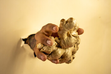 jengibre fondo blanco mano