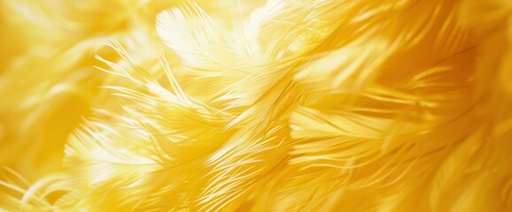 Beautiful yellow feather texture pattern background, evoking warmth and vibrancy