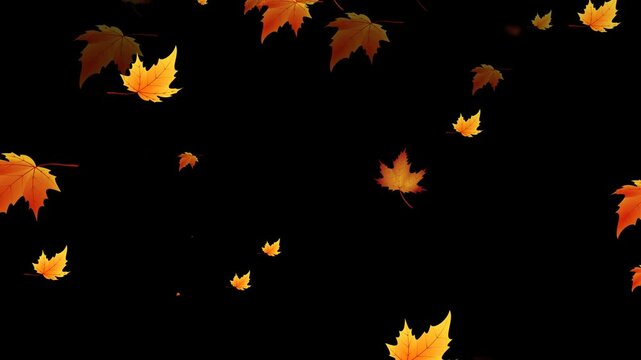 animated maple leaves falling with different leaves, autumn concept. animation video on alpha channel (transparent) background.