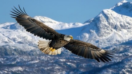 bald eagle flying in front of a mountain range