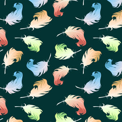 Vector pattern of colorful feathers.Vector seamless pattern with colorful feathers on a colored background.