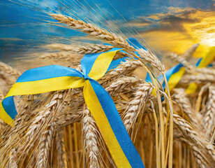 wheat field and Ukraine flag ribbon with clouds and vibrant blue sky