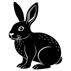 black and white rabbit