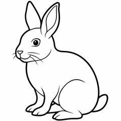 black and white rabbit