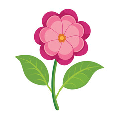 Illustration of primrose flower on white