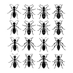 set of ant vector silhouette