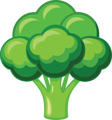 Broccoli isolated on white background illustration