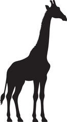 Zebra Silhouette isolated on white background Minimalist elephant vector shape icon