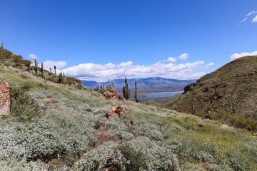 Views from the lower cliff dwelling trail, Tonto National Monument, Arizona
