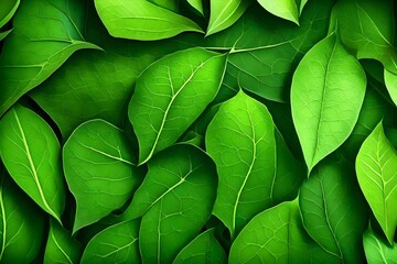 Green leaf background abstract.