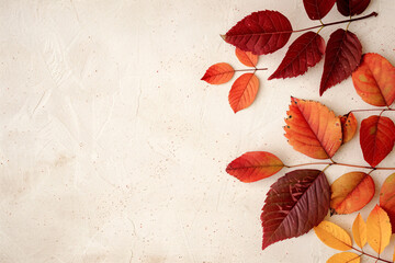 Fototapeta premium A beautifully composed image featuring a frame of autumn leaves in rich hues of red, orange, and yellow. The leaves are meticulously placed against a light, textured background, showcasing their