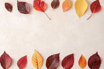 Fototapeta premium A beautifully composed image featuring a frame of autumn leaves in rich hues of red, orange, and yellow. The leaves are meticulously placed against a light, textured background, showcasing their