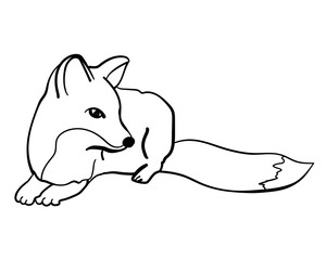 Fox coloring page, a predatory animal for creativity or design