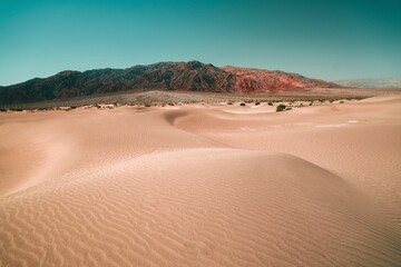 sand dunes in Death Valley
