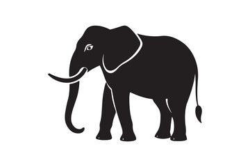 Fototapeta premium Elephant vector and art work