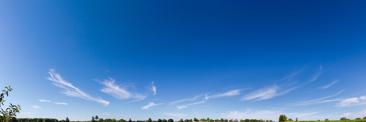 Panorama of sky with cirrus clouds above trees and buildings