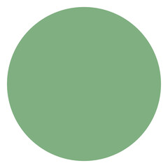 Perfect green circle shape. Suitable for design decoration, infographic, pattern, apparel, stationery, and more.