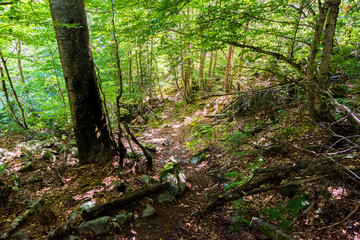 Camins del GR11 🇵🇱