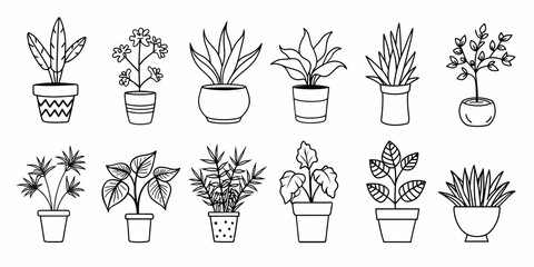 Charming potted plants illustration with various botanical designs