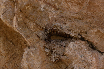 Rock formations at lower cliff dwellings at Tonto National Monument, Arizona