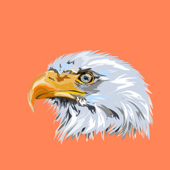 the head of an eagle on an orange background