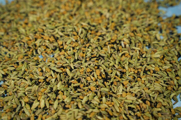 Panch phoron is a whole spice blend, originating from the eastern part of the Indian and used in the cuisines of Eastern India and Northeastern India.